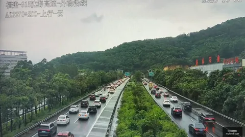 八村塁买球专家分析：追梦路上的智慧抉择指南